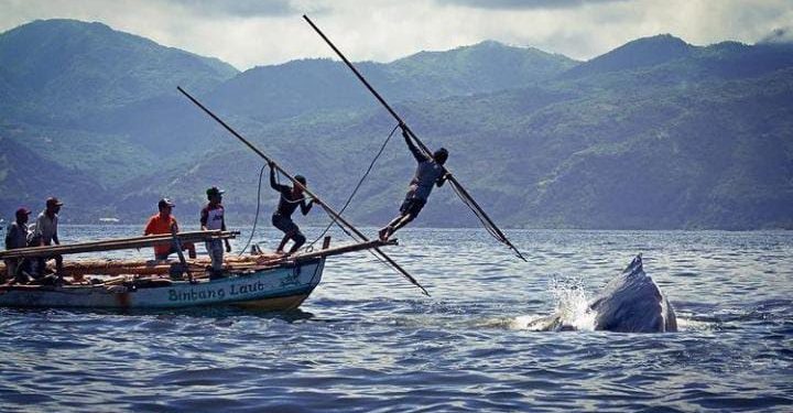 Lempengan Surga Yang Jatuh Di Tanah Lembata